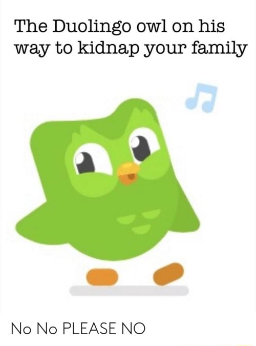 The Duolingo owl on his way to kidnap your family No No PLEASE NO - iFunny
