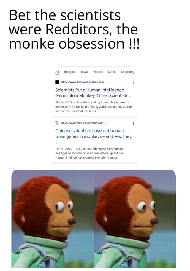 Bet the scientists were Redditors, the monke obsession All Images News ...