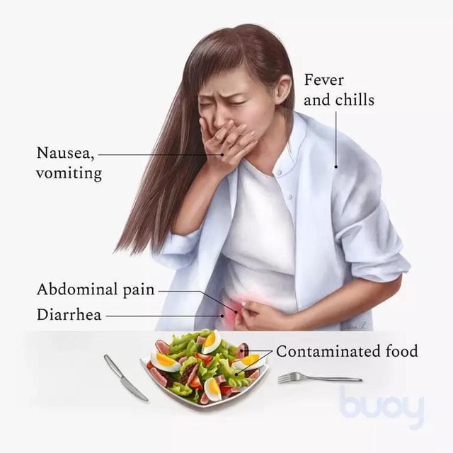 Fever and chills Contamimated food Nausea, vomiting Abdominal pain Diarrhea iFunny