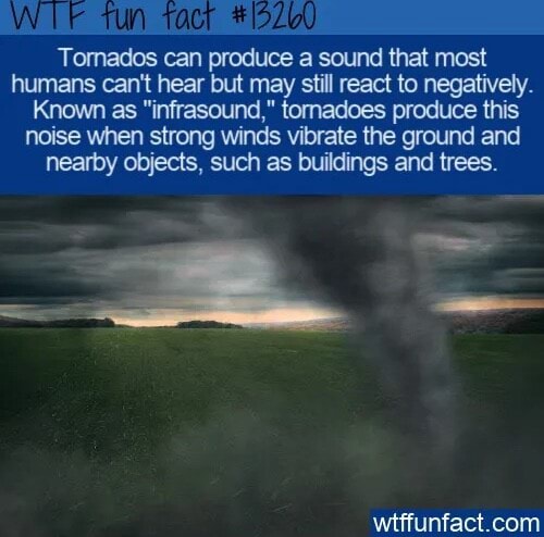 Tornados can produce a sound that most humans can't hear but may still ...