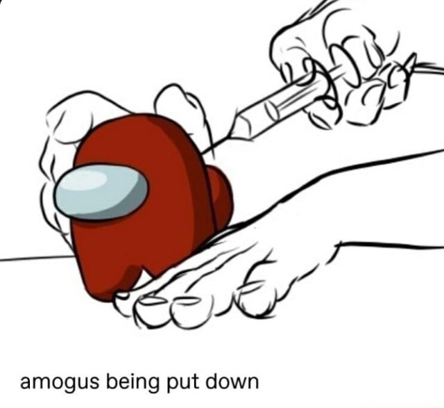 Amogus being put down - iFunny