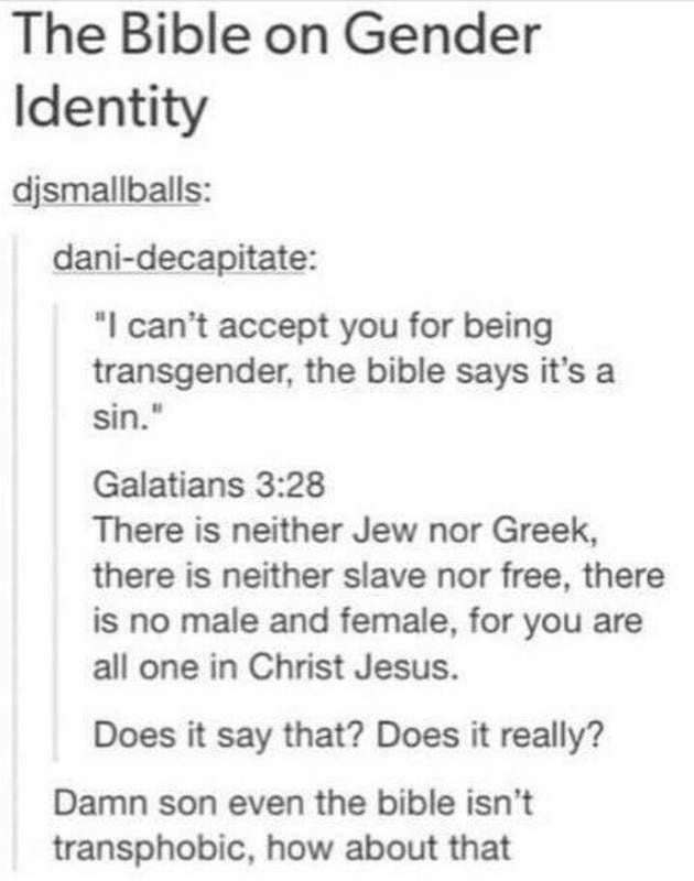 The Bible On Gender Identity DismalLQ S Dani Decapitate I Can T   Cf9473358c5aec99ca3f79ae289059d9c75eca4c312bb32e59a992953b211db8 1 