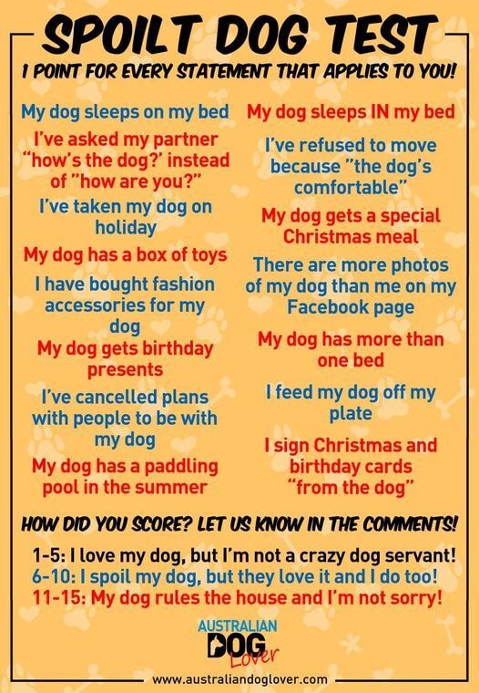 13/15 she doesn’t like pools and she eats from our Christmas lunch 🤷🏻‍♀