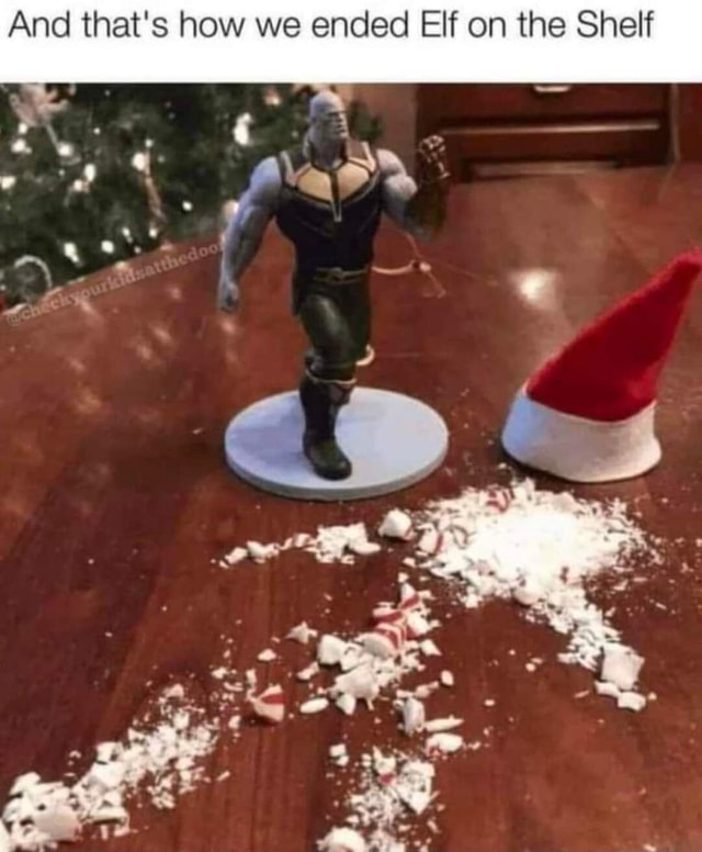 And that's how we ended Elf on the Shelf America’s best pics and videos