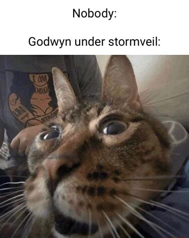 Nobody Godwyn Under Stormveil Ss IFunny   Cfcbb9d34a8eba651c8723d9dd915f2057f748f6774195a964c4270040fa5191 1 