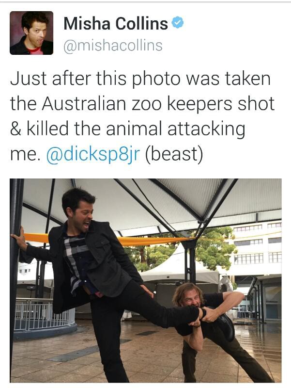 wshecoHins Just after this photo was taken the Australian zoo keepers