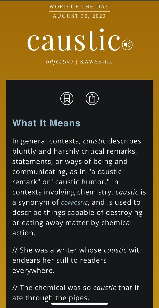 WORD OF THE DAY AUGUST 30, 2023 caustice adjective I KAWSStik What It