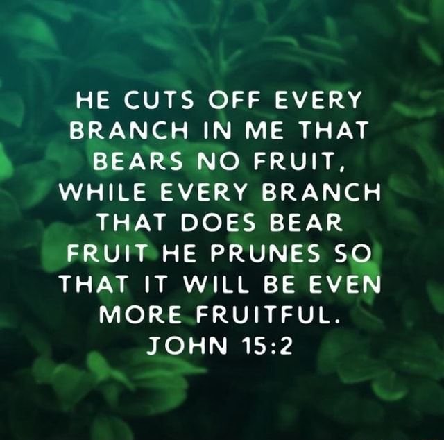 he-cuts-off-every-branch-in-me-that-bears-no-fruit-while-every-branch