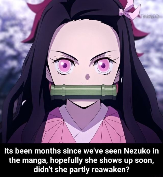 Its been months since we've seen Nezuko in the manga, hopefully she