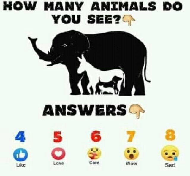 HOW MANY ANIMALS DO YOU SEE? ANSWERS