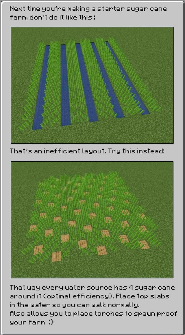 Next Time You Re Making A Starter Sugar Cane Farm Don T Do It Like This That S An Inefficient Layout Try This Instead That Way Every Water Source Has 4 Sugar Cane Around It