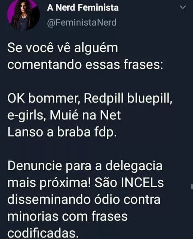 Rg A Nerd Feminista Se você vê alguém comentando essas frases: Lanso a  braba fdp. Denuncie para a delegacia mais próxima! São INCELs disseminando  ódio contra minorias com frases codificadas. - iFunny