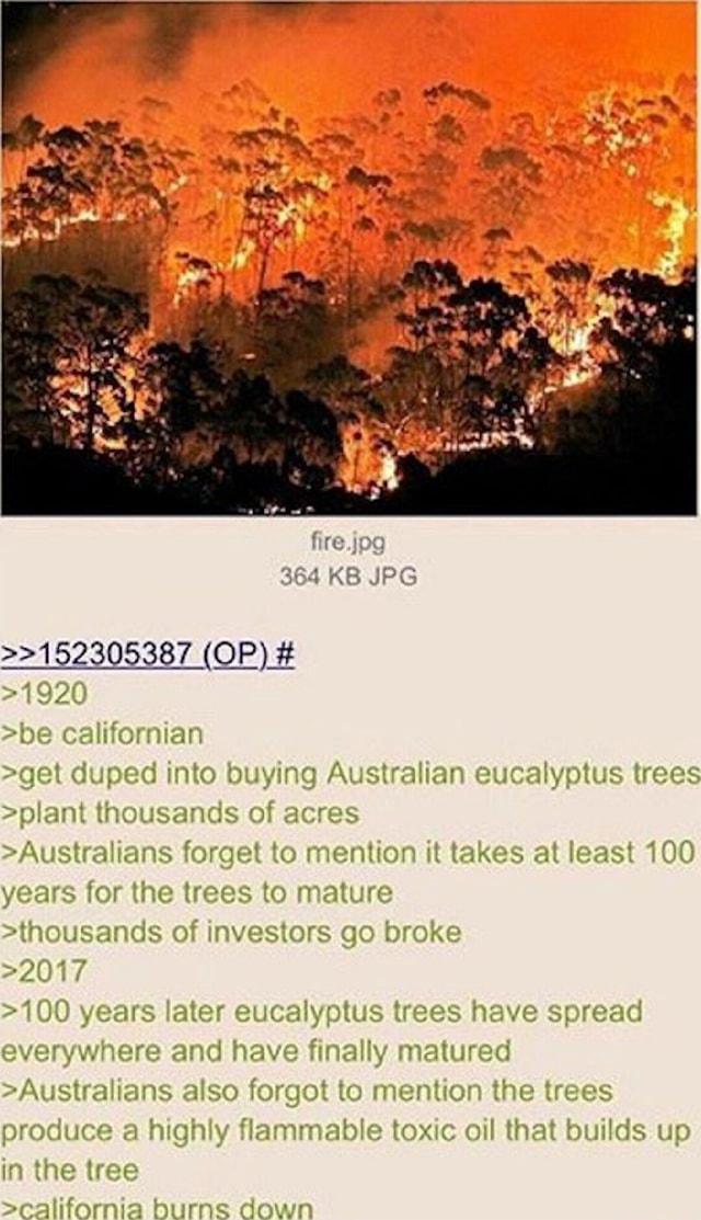 Fire.jpg 364 KB JPG >>152305387 (OP) >1920 >be californian >get duped into buying Australian