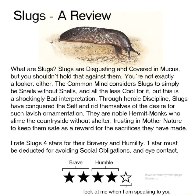 Slugs A Review What are Slugs? Slugs are Disgusting and Covered in ...