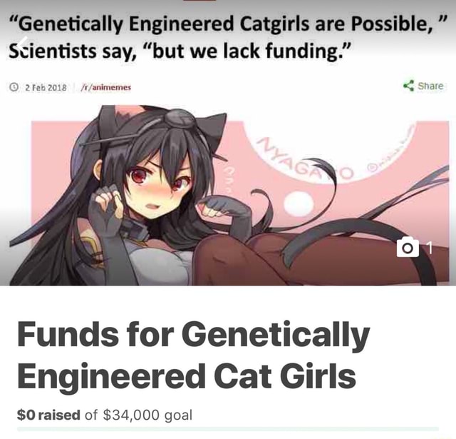 Engineered Catgirls are Possible, Scientists say, "but we