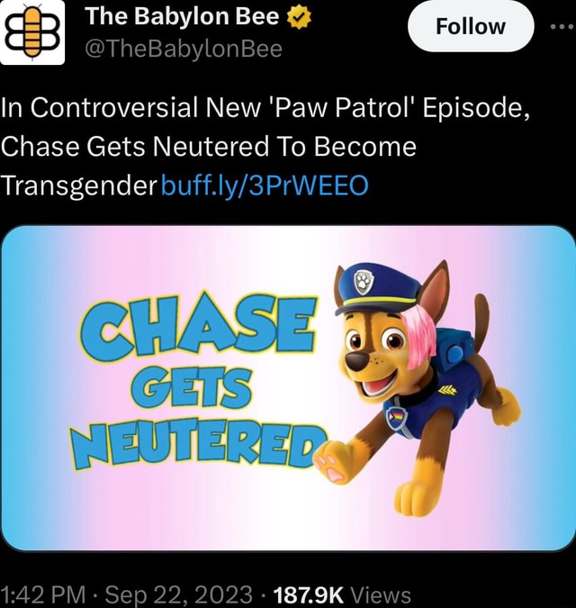 In Controversial New 'Paw Patrol' Episode, Chase Gets Neutered To Become  Transgender