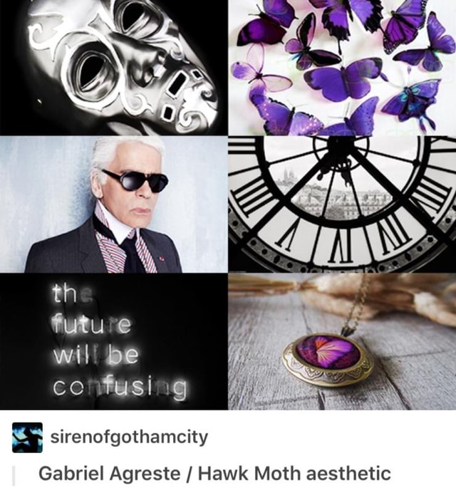 ª Sirenofgothamcity Gabriel Agreste Hawk Moth Aesthetic