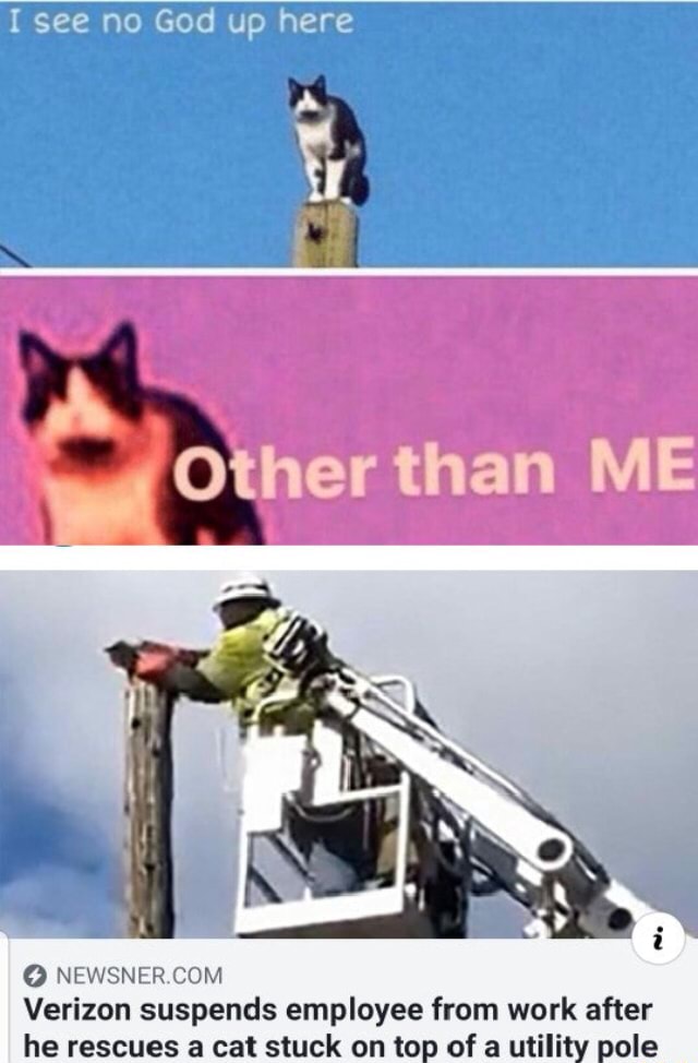 I See No God Up Here Other Than Me O Newsner Com Verizon Suspends Employee From Work After He Rescues A Cat Stuck On To Of A Utili Oie
