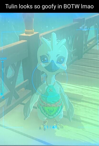 Tulin looks so goofy in BOTW Imao - iFunny