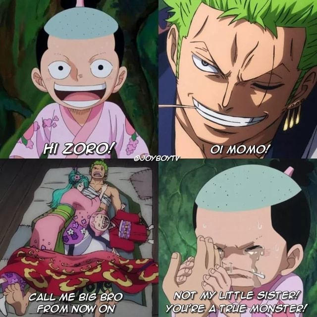 E APENAS MEME OK🤣🤣 MAS o zoro sola ksksksksk #memeonepiece #zorosola