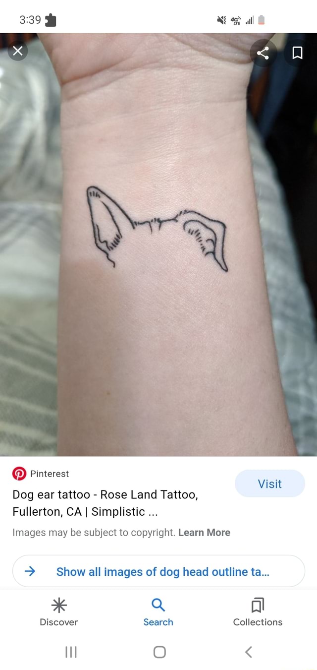 Dog ears tattoo  Tatuaje de perro Tatuaje de oreja Tatuajes