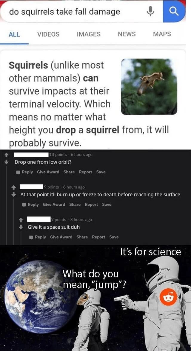 Do squirrels take fall damage ALL VIDEOS Squirrels (unlike most other