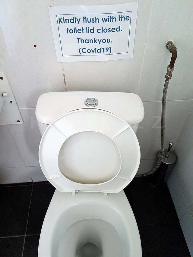 Kindly flush with the toilet lid closed. Thankyou. iFunny