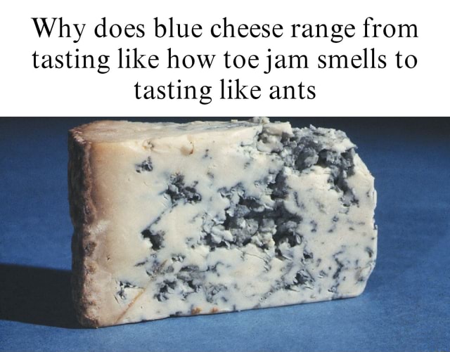 Why does blue cheese range from tasting like how toe jam smells to