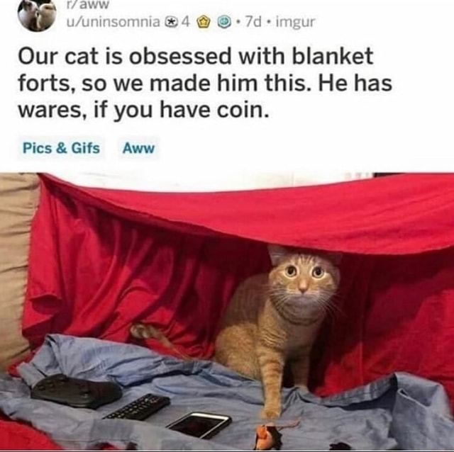 Our cat is obsessed with blanket forts, so we made him this. He has