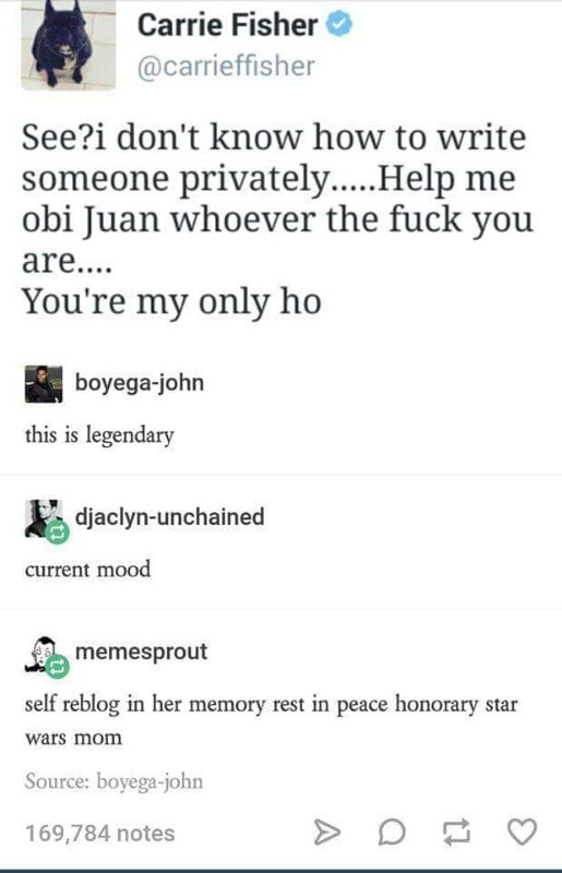 Carrie Fisher See I Don T Know How To Write Someone Privately Help Me Obi Juan Whoever The Fuck You Are You Re My Only Ho Boyega John Djaclyn Unchained Current Mood Self Reblog