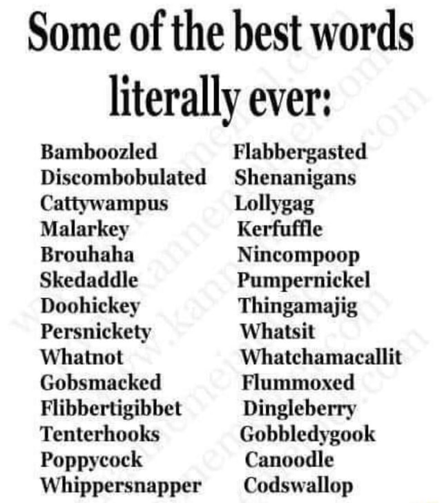 Some of the best words literally ever Bamboozled Cattywampus Malarkey Brouhaha