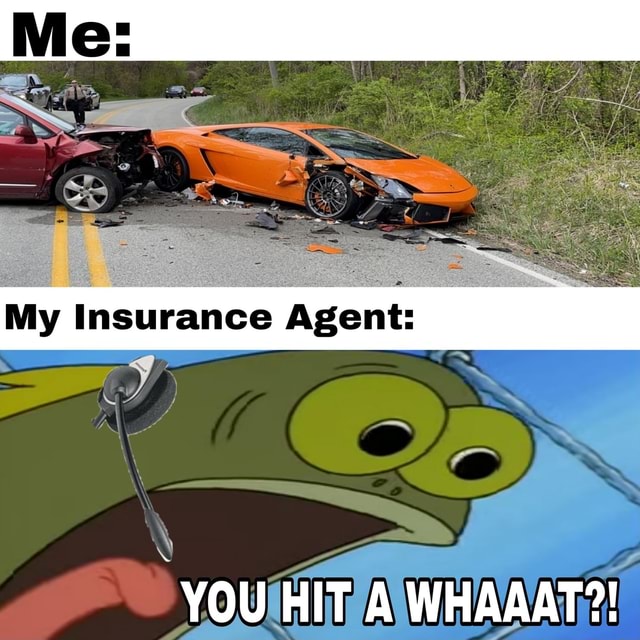 My Insurance Agent YOU HIT WHAAAT?! iFunny