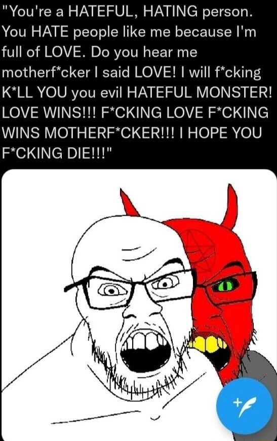 you-re-a-hateful-hating-person-you-hate-people-like-me-because-i-m