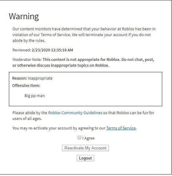 Warning Our Content Monitors Have Determined That Your Behavior At Roblox Has Been In Violation Of Our Terms Of Service We Will Terminate Your Account If You Do Not Abide By The - how to logout of your roblox account on phone