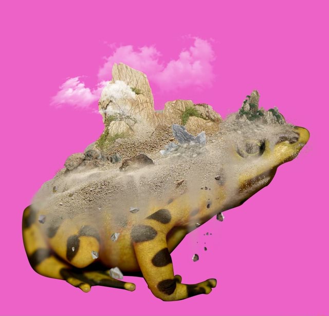 Giant Earth Elemental Frog - iFunny