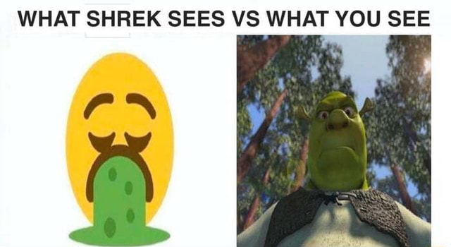 WHAT SHREK SEES VS WHAT YOU SEE - iFunny