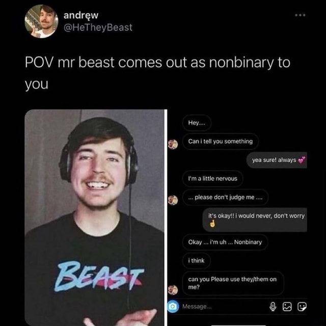 Andrew @HeTheyBeast POV mr beast comes out as nonbinary to you Hey ...