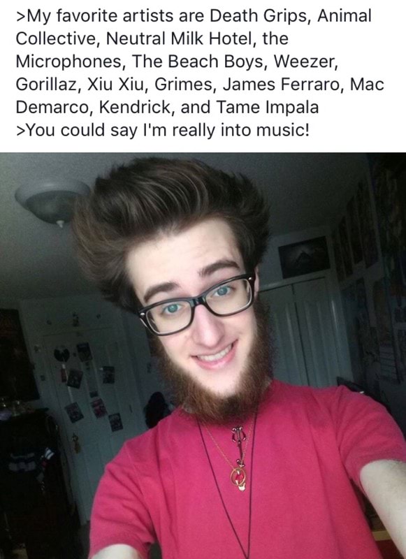 My Favorite Artists Are Death Grips Animal Collective Neutral Milk Hotel The Microphones The Beach Boys Weezer Gorillaz Xiu Xiu Grimes James Ferraro Mac Demarco Kendrick And Tame Impala Y0u Could Say