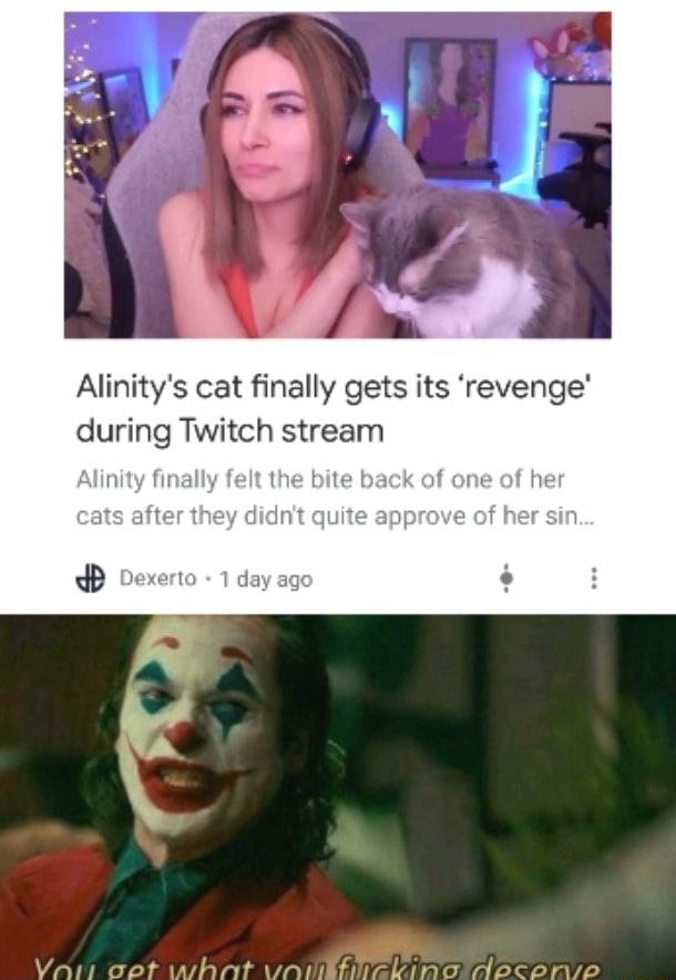 Alinitys Cat Finally Gets Its Revenge During Twitch Stream Nity Finally Felt The Bite Back Of