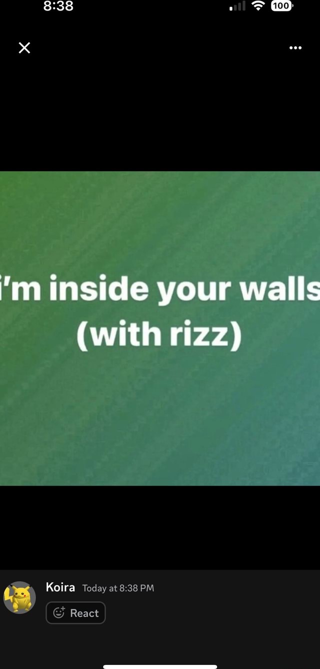 Inside your walls (with rizz) Koira Today at PM React - iFunny