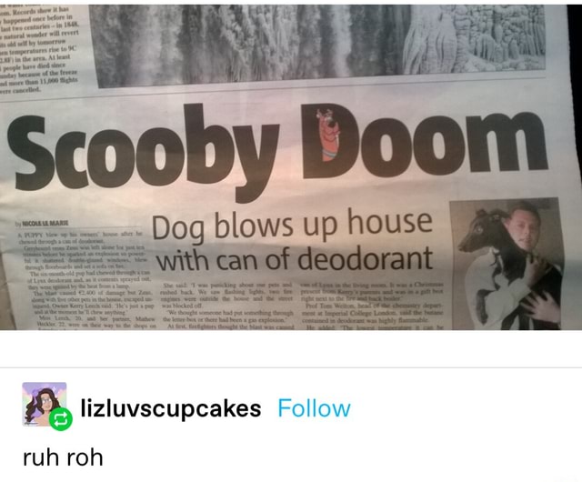 Dog blows up house with can of deodorant lizluvscupcakes Follow ruln