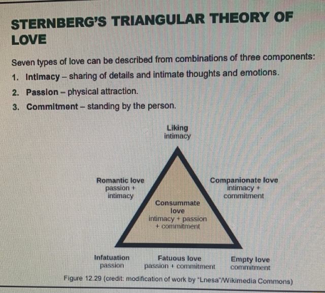 Sternbergs Triangular Theory Of Love Seven Types Of Love Can Be Described From Combinations Of 4170