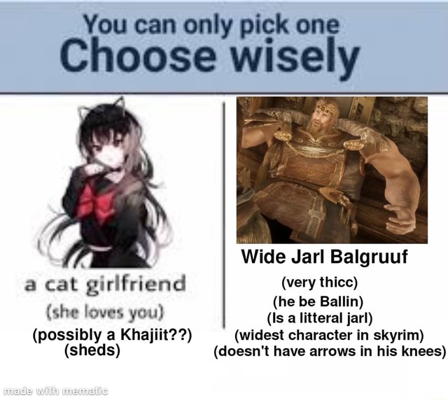 You can only pick one Choose wisely Wide Jarl Balgruuf a cat girlfriend