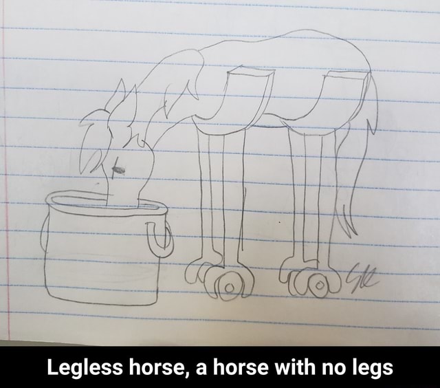Legless horse, a horse with no legs - Legless horse, a horse with no ...