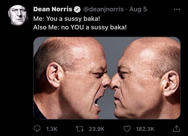 Dean Norris 'Sussy Baka