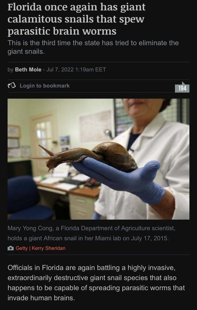 Florida once again has giant calamitous snails that spew parasitic
