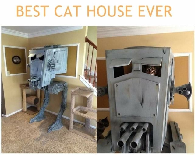 BEST CAT HOUSE EVER iFunny