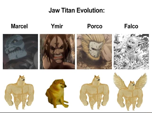 Jaw Titan Evolution: Marcel Ymir Porco Falco - iFunny