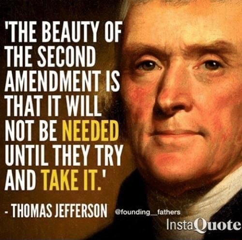 'THE BEAUTY OF THE SECOND AMENDMENT IS THAT IT WILL NOT BE UNTIL THEY ...