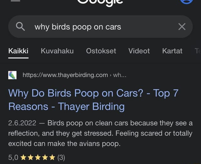Why birds poop on cars Kaikki Kuvahaku Ostokset Te Kartat wh... Why Do
